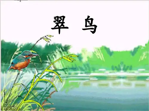 秋三年级语文上册《翠鸟》课件6 北师大版-北师大版小学三年级上册语文课件