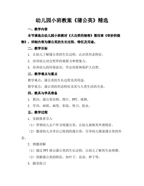 幼儿园小班教案《蒲公英》精选