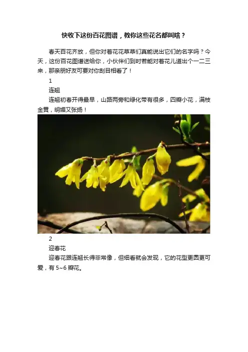 快收下这份百花图谱，教你这些花名都叫啥？