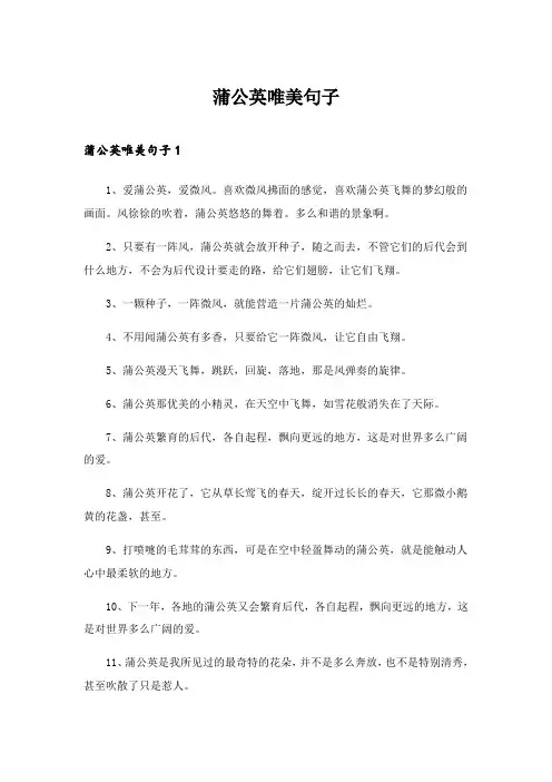 2024年蒲公英唯美句子