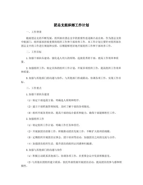 团总支组织部工作计划