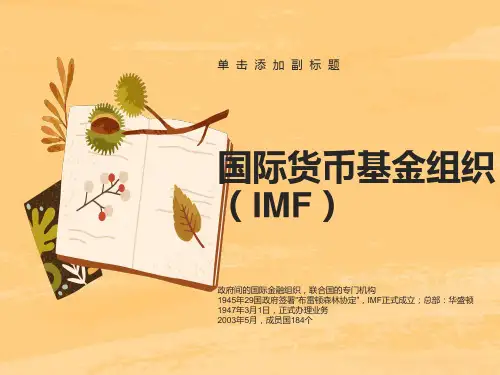 国际货币基金组织(IMF)