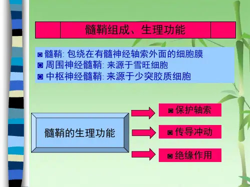 多发性硬化的诊断与治疗(共65张PPT)