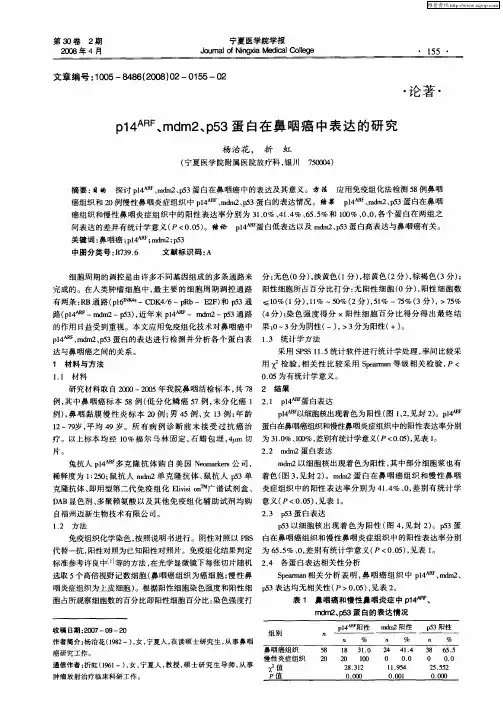 p14 ARF、mdm2、p53蛋白在鼻咽癌中表达的研究