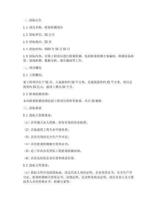桩基检测_招标文件