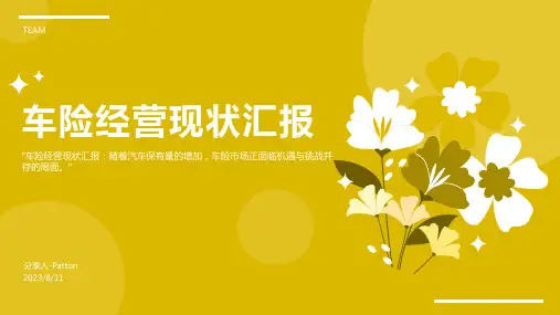 2023年某公司车险经营报告模板