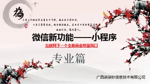 小程序专业篇PPT课件