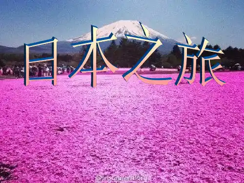 日本之旅!