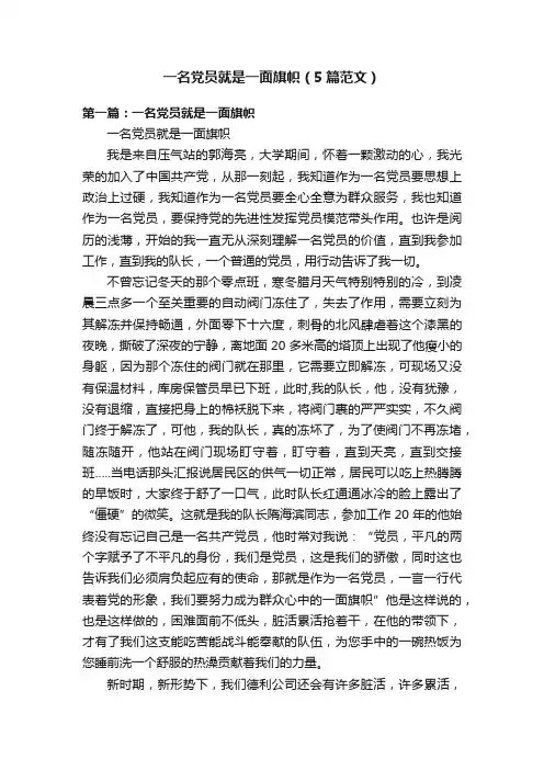 一名党员就是一面旗帜（5篇范文）