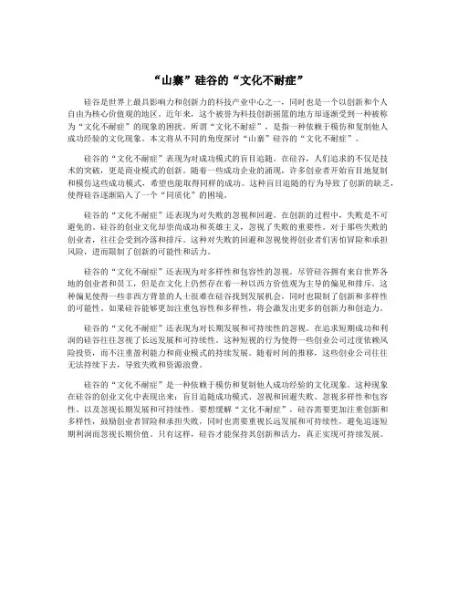 “山寨”硅谷的“文化不耐症”