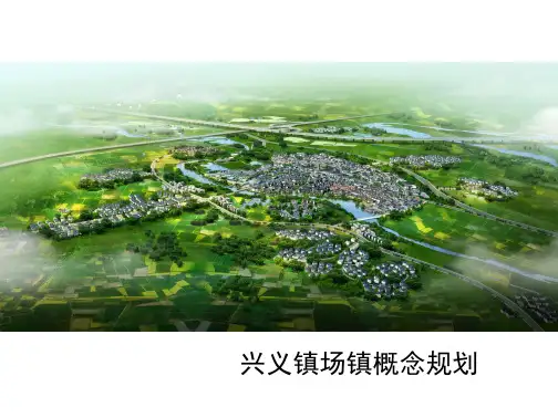 四川成都新津县兴义场镇概念规划35p