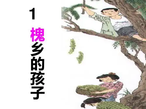 4、《槐乡的孩子》PPT课件汇编