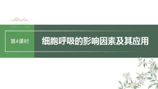 2024年高考生物一轮复习(新人教版) 第3单元 第4课时 细胞呼吸的影响因素及其应用