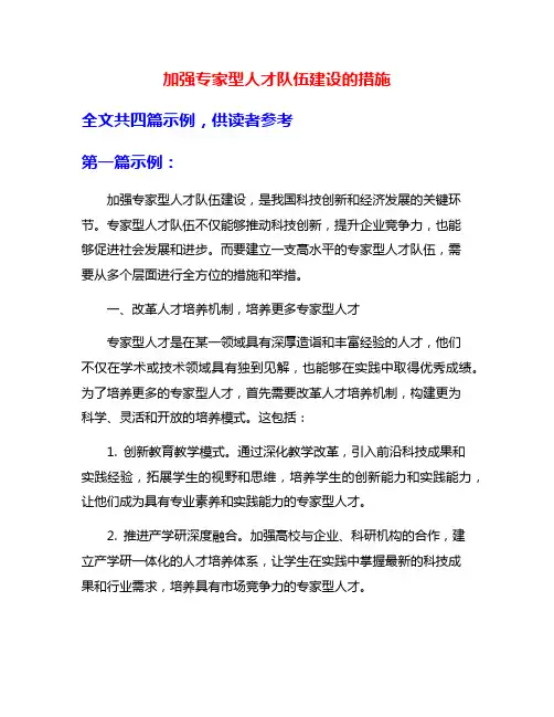 加强专家型人才队伍建设的措施