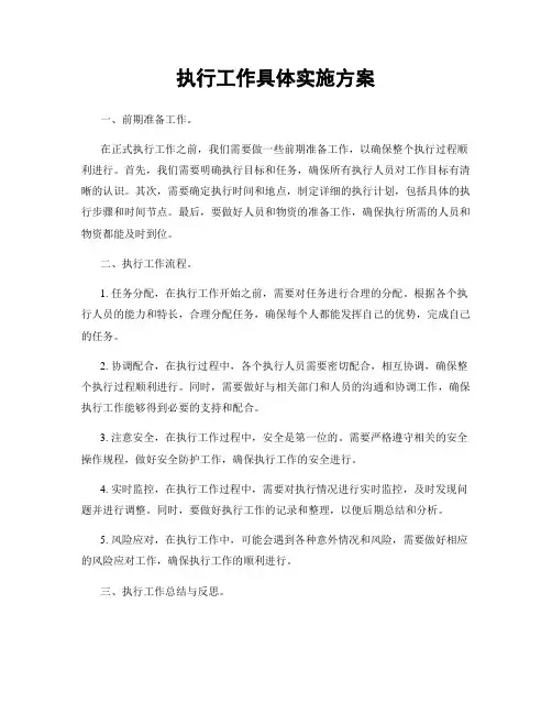 执行工作具体实施方案