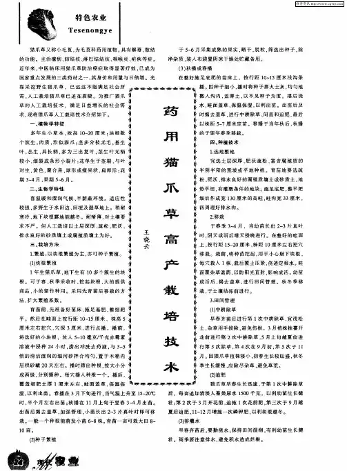 药用猫爪草高产栽培技术