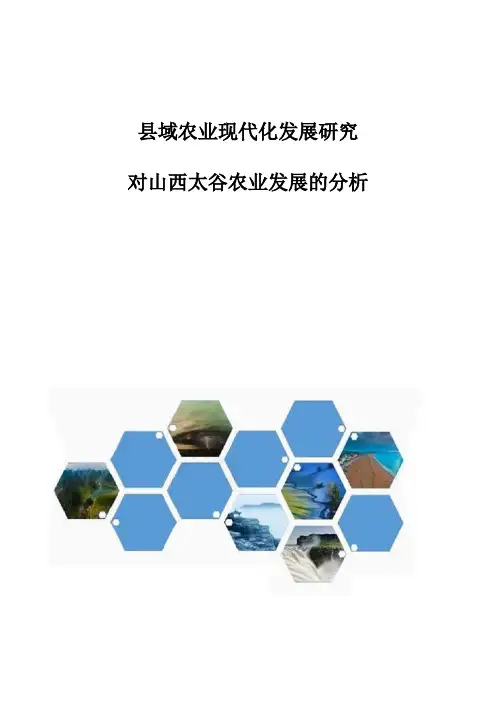县域农业现代化发展研究-对山西太谷农业发展的分析