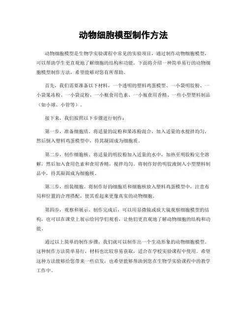动物细胞模型制作方法