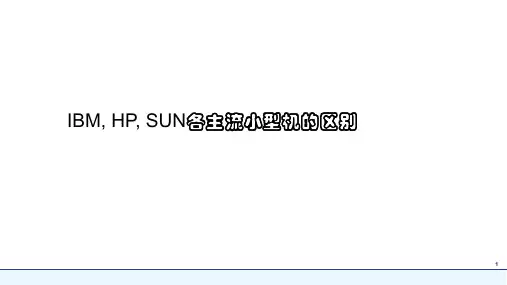 IBM、HP、SUN各主流小型机的区别