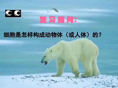 三节植物体的结构层次课件