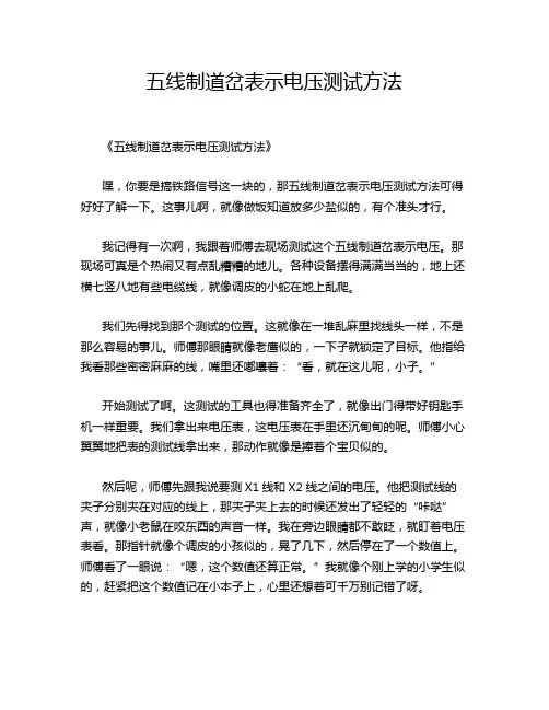 五线制道岔表示电压测试方法
