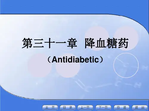 降血糖药 PPT课件