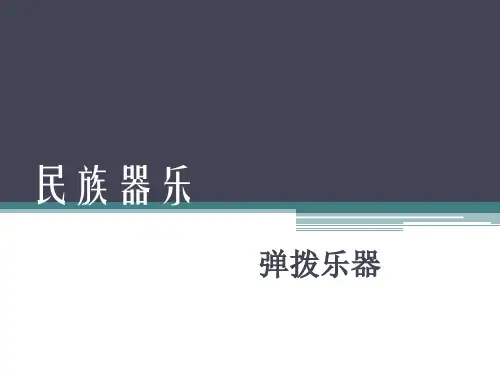 第八节弹拨乐器