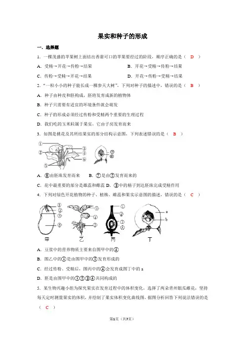 果实和种子的形成(练习题及答案)