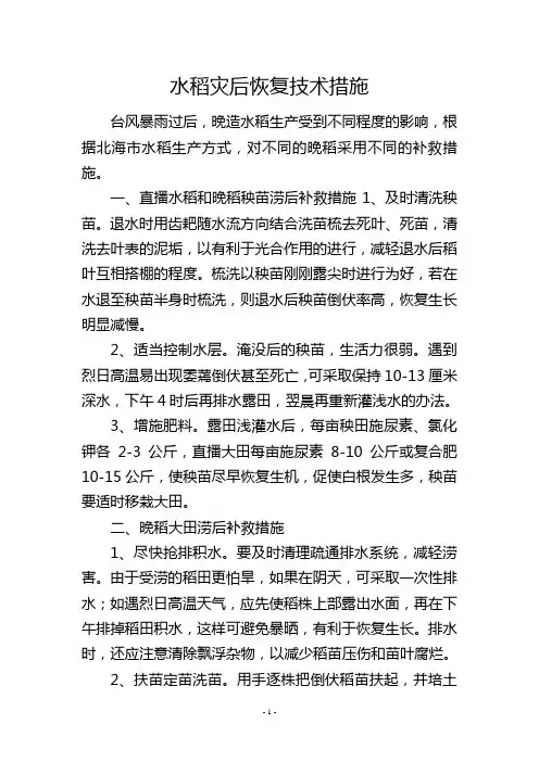 水稻灾后恢复技术措施