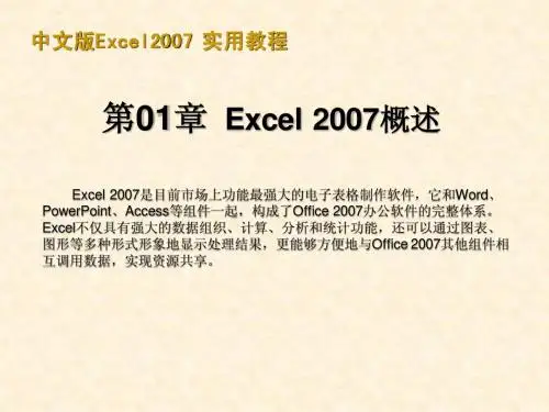 Excel2007完美实战教程