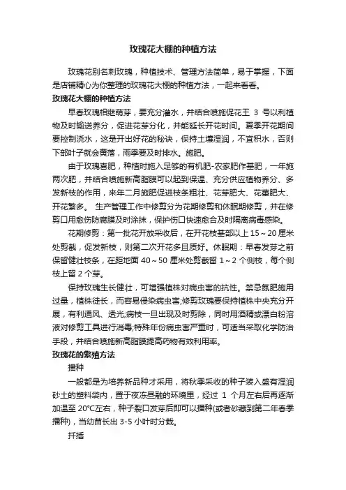 玫瑰花大棚的种植方法