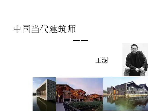 中国当代建筑师 王澍