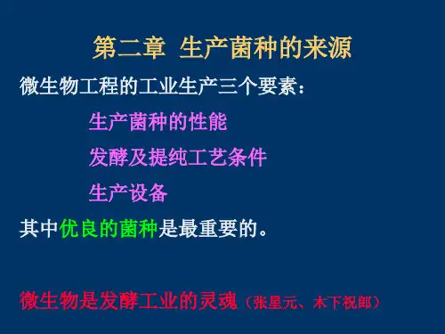 生产菌种的来源ppt课件