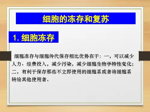 细胞的冻存及复苏ppt课件