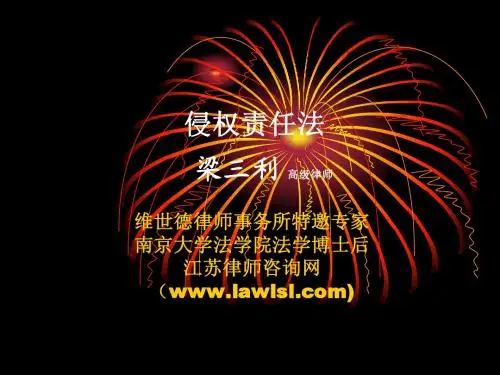 侵权责任法讲》