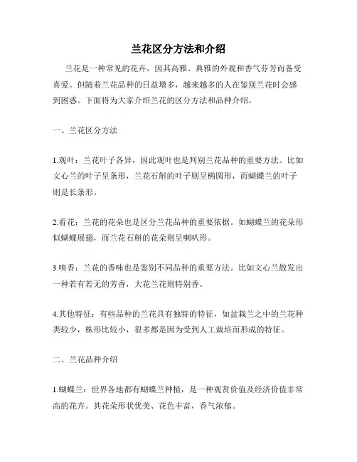 兰花区分方法和介绍