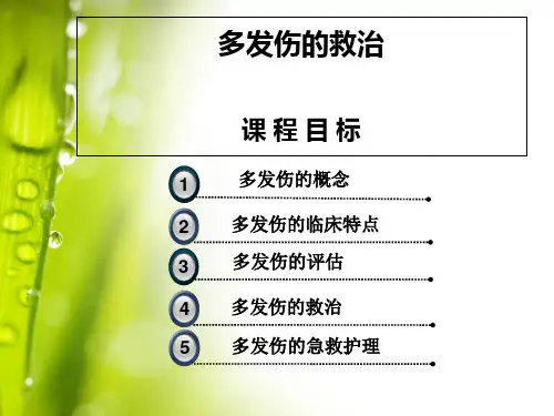 多发伤的急救护理PPT课件