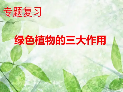 植物的三大作用综合复习课件