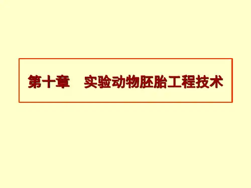 医学实验动物学：第十章  实验动物胚胎工程技术