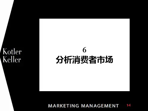 市场营销之分析消费者市场ppt课件