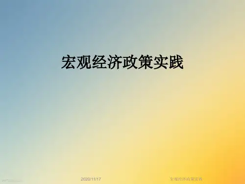 宏观经济政策实践
