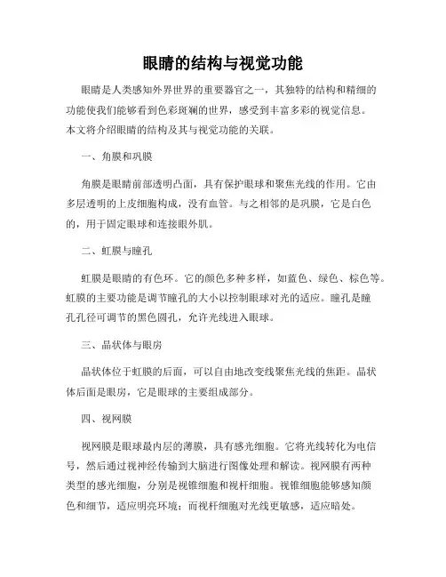 眼睛的结构与视觉功能
