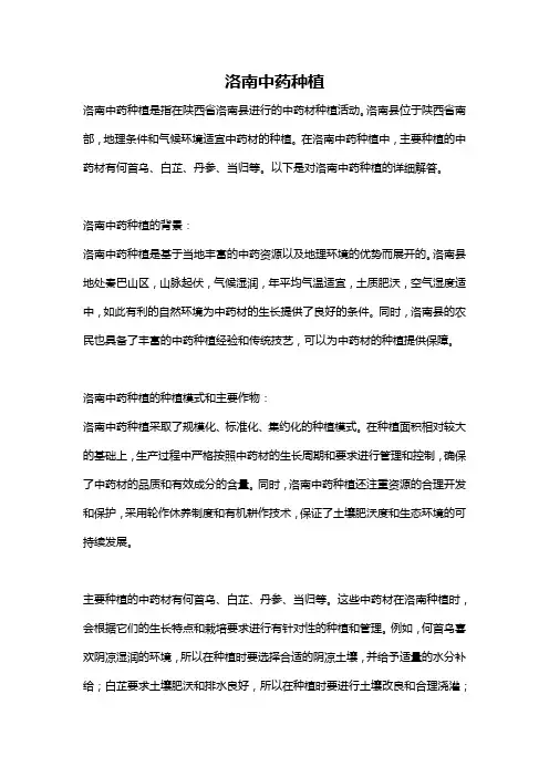 洛南中药种植