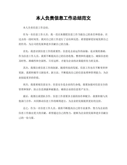 本人负责信息工作总结范文