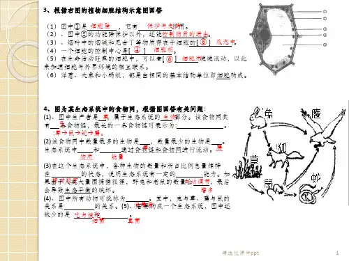 七年级生物上册复习识图题ppt课件