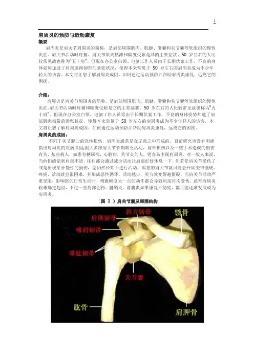 肩周炎的预防与运动康复