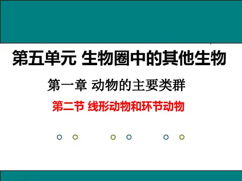 人教版生物八年级上册5. 线形动物和环节动物 课件