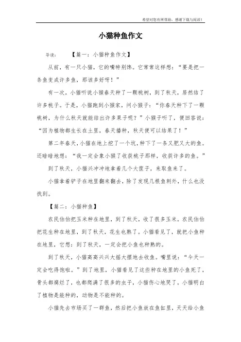 小猫种鱼作文