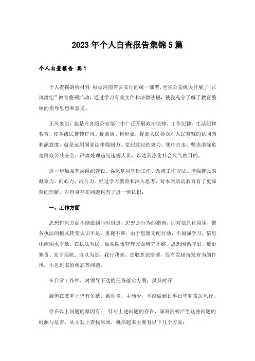 2023年个人自查报告集锦5篇_1