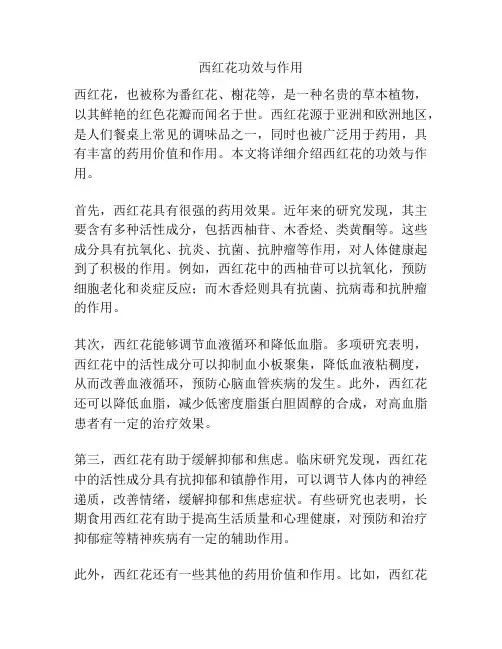 西红花功效与作用